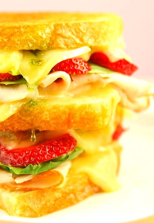 Zingy berry basil turkey grilled cheese sandwich