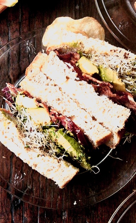Bacon, Avocado, and Sprouts Sandwich